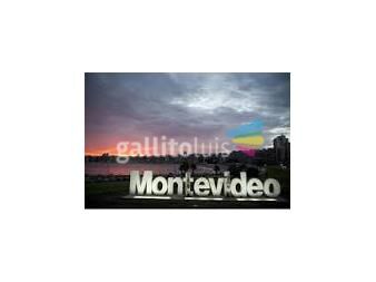 https://www.gallito.com.uy/operador-inmobiliario–tasador–rematador-m5705-cel-099379660-servicios-13485051