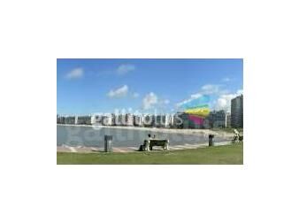 https://www.gallito.com.uy/operador-inmobiliario–tasador–rematador-m5705-cel-099379660-servicios-13494644