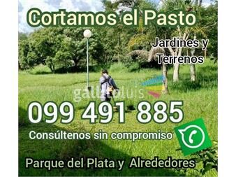 https://www.gallito.com.uy/corte-de-pasto-en-parque-del-plata-099-491-885-servicios-21486438