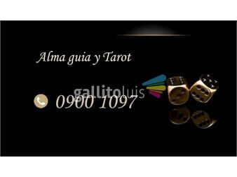 https://www.gallito.com.uy/haga-ya-su-consulta-profesionales-a-su-servicio-0900-1097-servicios-21704691