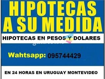https://www.gallito.com.uy/credito-en-24-horas-uruguaya-montevideo-servicios-23689994