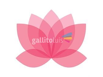 https://www.gallito.com.uy/lectura-de-cartas-astrales-servicios-23759312