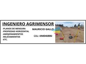 https://www.gallito.com.uy/ingeniero-agrimensor-servicios-24956693