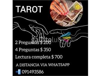https://www.gallito.com.uy/lectura-de-tarot-online-via-whatsapp-servicios-25151822