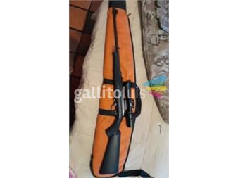https://www.gallito.com.uy/rifle-22-lr-semiautomatico-productos-25136816