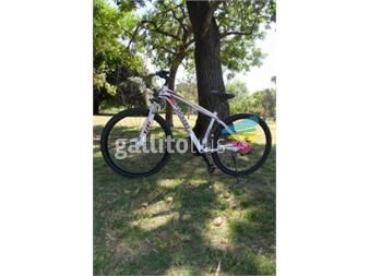 https://www.gallito.com.uy/bicicletas-weickert-bike-montaña-en-caja-importadas-productos-25462721