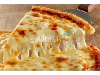 https://www.gallito.com.uy/pizzero-se-ofrece-turno-matutino-servicios-25553880