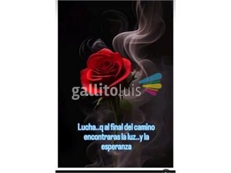 https://www.gallito.com.uy/parapsicologia-vidente-natural-tarot-eugenia-servicios-26265852