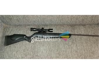 https://www.gallito.com.uy/rifle-nitro-piston-4-5-remington-expres-productos-25895274