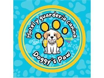 https://www.gallito.com.uy/hotel-y-guarderia-canina-doggys-paw-servicios-26015618