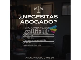 https://www.gallito.com.uy/abogada-dra-mesa-servicios-26117706