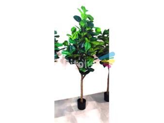 https://www.gallito.com.uy/plantas-artificiales-grandes-ficus-productos-26346534