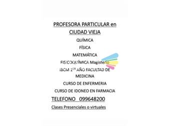 https://www.gallito.com.uy/profesora-particular-servicios-26703842