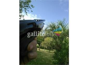 https://www.gallito.com.uy/escopeta-semi-12-con-250-cartuchos-productos-26778627