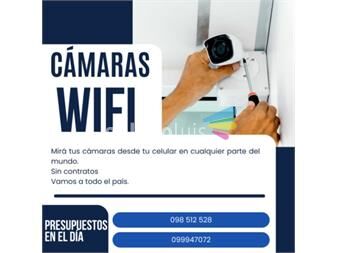 https://www.gallito.com.uy/camaras-de-vigilancia-con-wifi-sin-contratos-servicios-26935543