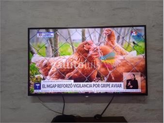 https://www.gallito.com.uy/televisor-smart-43-pulgadas-como-nuevo-productos-27406549
