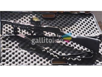 https://www.gallito.com.uy/carabina-puma-tactica-caza-yo-defensa-productos-27410197