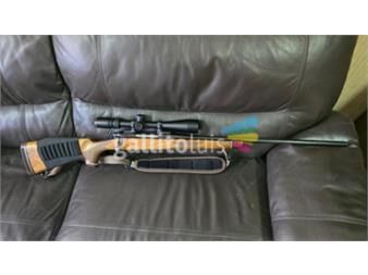 https://web5.gallito.com.uy/remington-700-bdl-calibre-25-06-productos-27348288