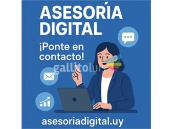 https://web5.gallito.com.uy/asesoria-digital-servicios-27535583