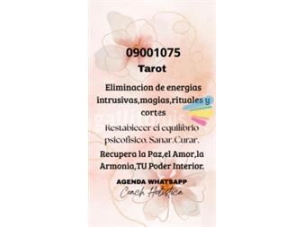 https://web5.gallito.com.uy/09001075-tarot-era-de-acuario-09001075-servicios-27596190