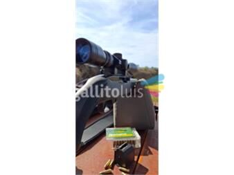 https://web5.gallito.com.uy/rifle-ruger-1022-productos-27401832