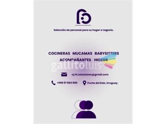 https://web5.gallito.com.uy/cj-soluciones-seleccion-de-personal-servicios-27775470