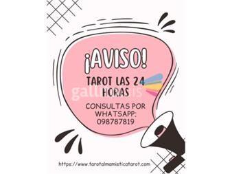 https://web5.gallito.com.uy/lectura-de-cartas-de-tarot-las-24-hs-por-whatsapp-098787819-servicios-27799689