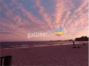 https://web5.gallito.com.uy/caballero-culto-54-busca-dama-seria-pero-abierta-servicios-27804266