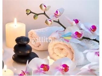 https://web5.gallito.com.uy/masajes-terapeuticos-luciana-servicios-27603095