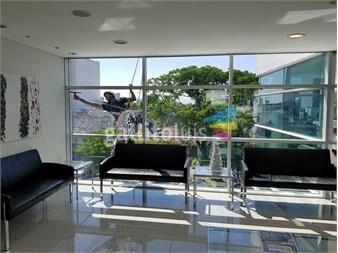 https://web5.gallito.com.uy/limpieza-de-vidrios-en-alturas-servicios-27822888