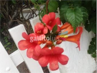 https://web5.gallito.com.uy/busco-mecanografo-servicios-27928057