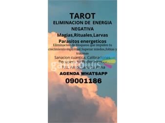 https://web5.gallito.com.uy/09001186-psicomagia-tarot-09001186-servicios-27936202