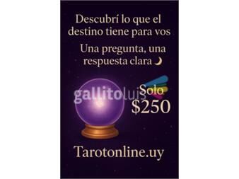 https://www.gallito.com.uy/tarot-personalizado-por-whatsapp-el-mejor-tarot-en-uruguay-servicios-28125618