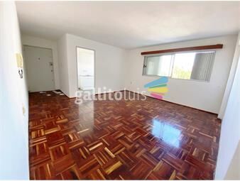 https://www.gallito.com.uy/alquiler-de-apartamento-en-arenal-grande-con-2-dormitorios-e-inmuebles-26426662