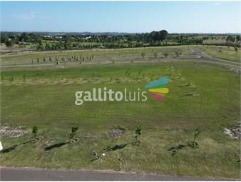 https://www.gallito.com.uy/venta-de-terreno-en-los-olivos-de-los-horneros-inmuebles-26959420