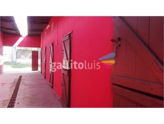 https://www.gallito.com.uy/divina-casa-y-stud-para-11-caballos-a-50-metros-del-hipodro-inmuebles-13498962