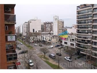 https://www.gallito.com.uy/5-dorm-panoramico-impecable-280-m2-inmuebles-13823561