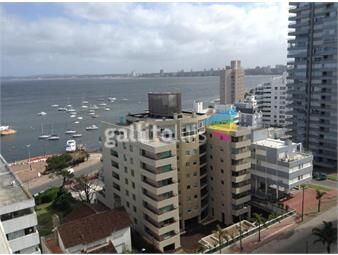 https://www.gallito.com.uy/excelente-vista-en-piso-10-con-balcon-terraza-zona-puerto-inmuebles-23232922
