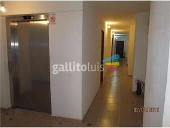 https://www.gallito.com.uy/monoambiente-amplio-rocha-y-martin-garcia-inmuebles-16827366