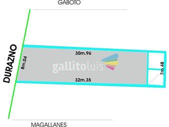 https://www.gallito.com.uy/casa-con-amplios-ambientes-padron-unico-240-mts-inmuebles-19565436