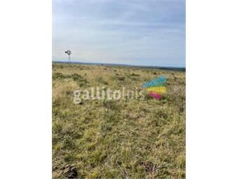https://www.gallito.com.uy/240-has-rivera-ideal-inversor-us-1400ha-inmuebles-19952416