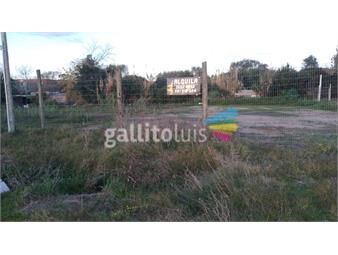 https://www.gallito.com.uy/se-alquila-amplio-terreno-inmuebles-19983901
