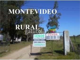 https://www.gallito.com.uy/22698-chacra-montevideo-rural-excelente-suelo-15-ha-inmuebles-12861968