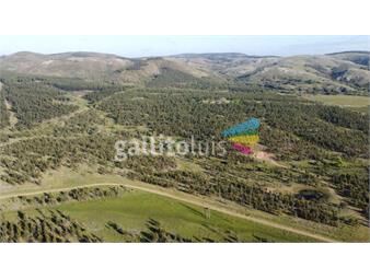 https://www.gallito.com.uy/700-has-con-220-has-forestadas-150-km-de-montevideo-inmuebles-20726755
