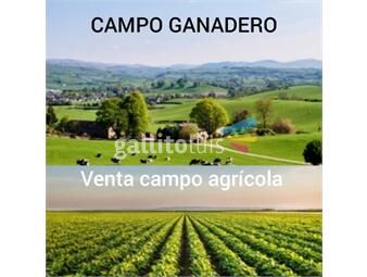 https://www.gallito.com.uy/venta-campo-agricola-ganadero-664-hectareas-florida-inmuebles-21848417