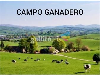https://www.gallito.com.uy/venta-campo-ganadero-2768-hec-lavalleja-inmuebles-21848485