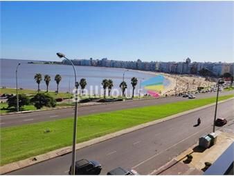https://www.gallito.com.uy/oportunidadcategoria-en-rambla-de-pocitos-inmuebles-18901011