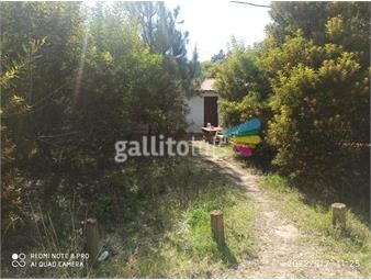 https://www.gallito.com.uy/casa-cabaña-con-terreno-balneario-jaureguiberry-inmuebles-22516652