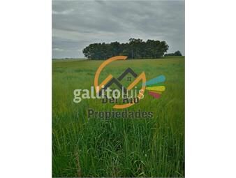 https://www.gallito.com.uy/campo-en-venta-100-agricola-soriano-inmuebles-22774634