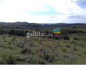 https://www.gallito.com.uy/campo-turistico-ganadero-inmuebles-23482661